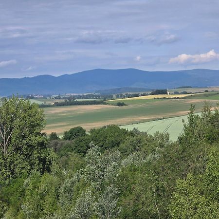 Hostel Apollo Зомбковіце-Шльонскє Екстер'єр фото
